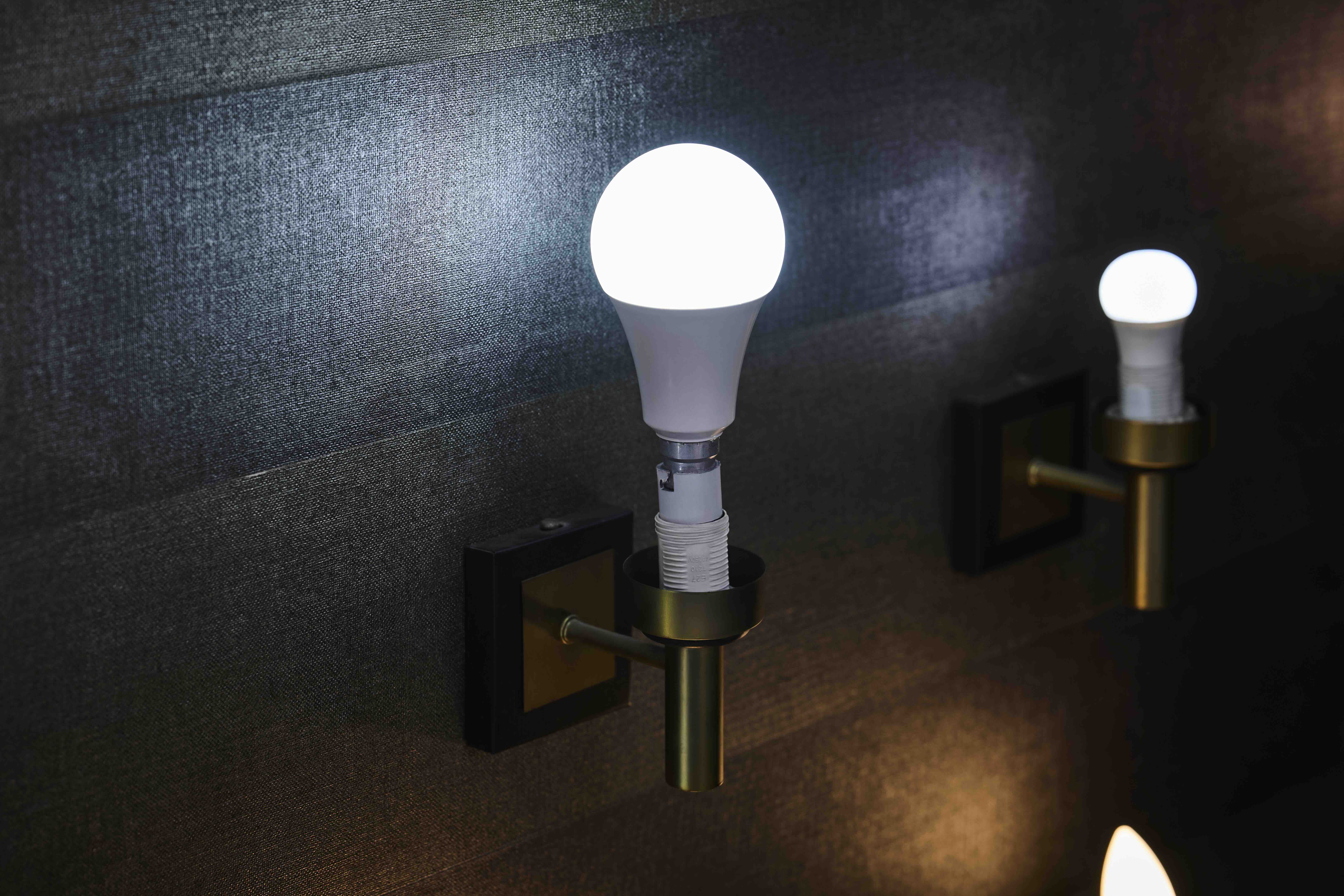 Bulbs