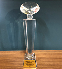 “Electronic Company of the Year” Award